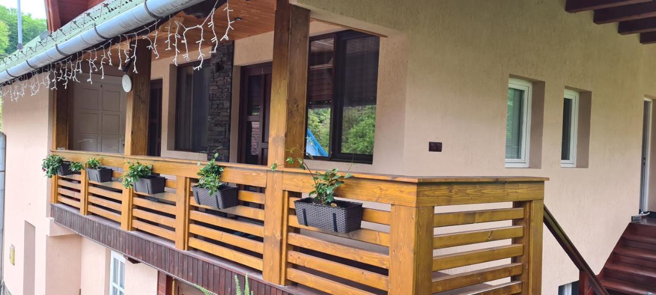 Casa Edy Hotel Szováta Kültér fotó