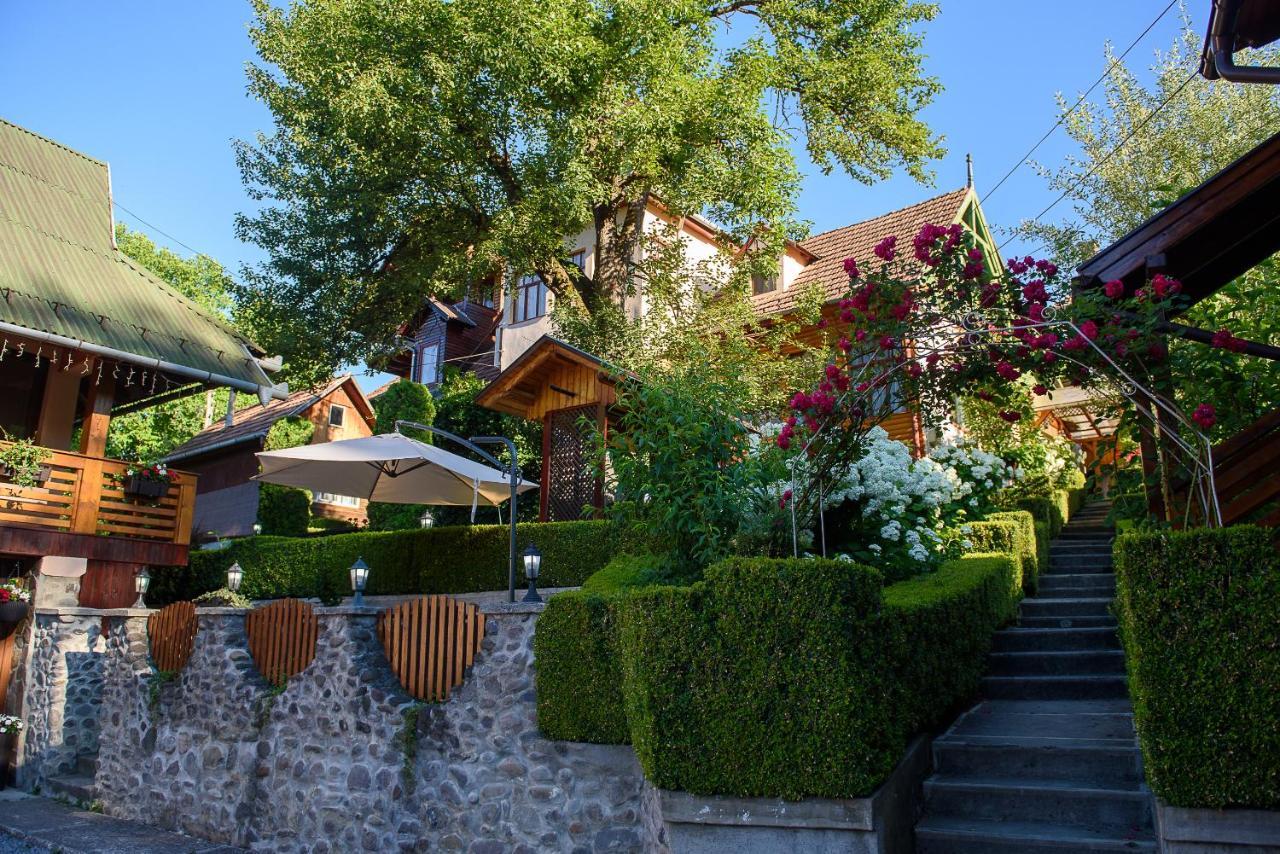 Casa Edy Hotel Szováta Kültér fotó