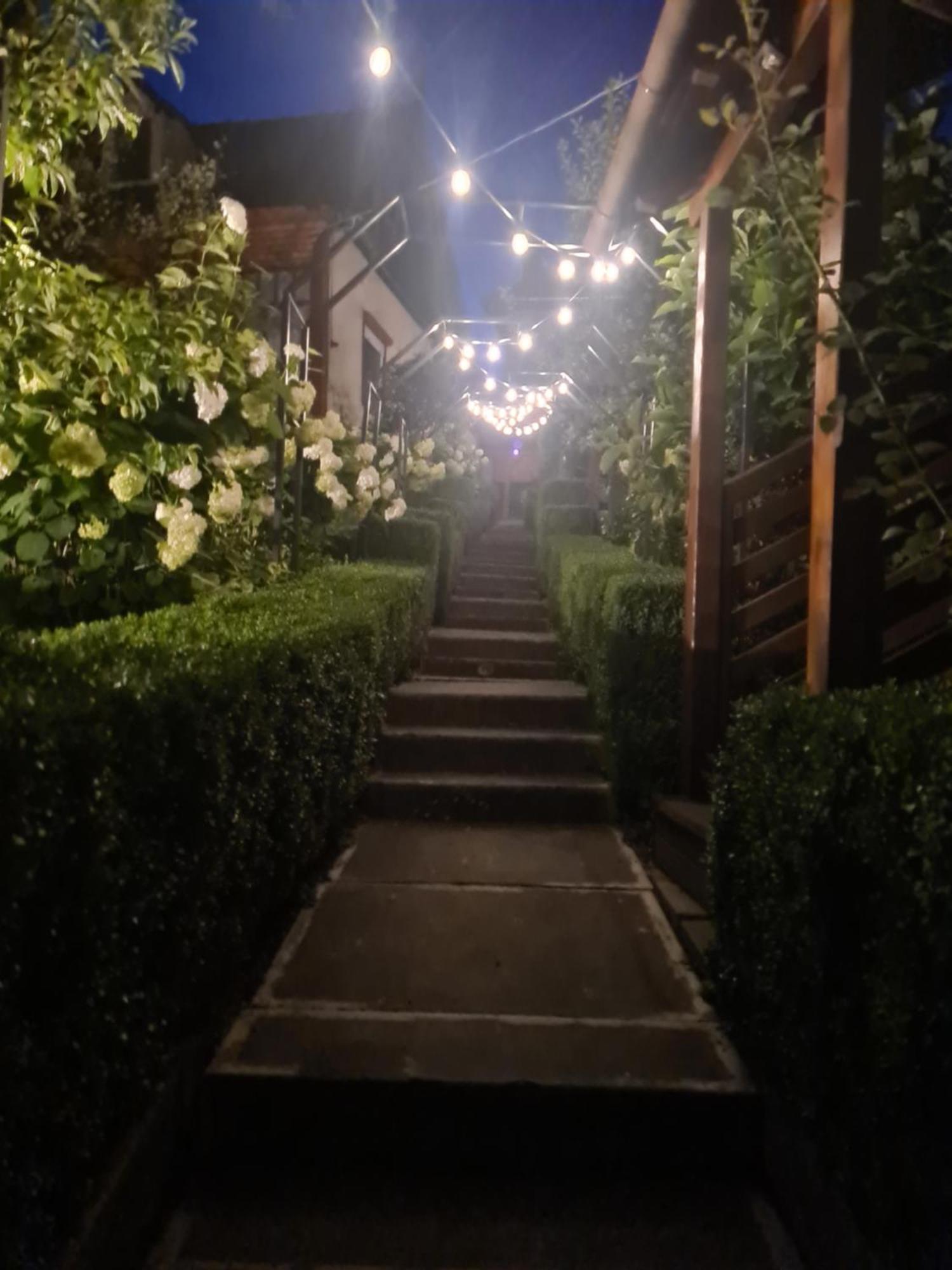 Casa Edy Hotel Szováta Kültér fotó